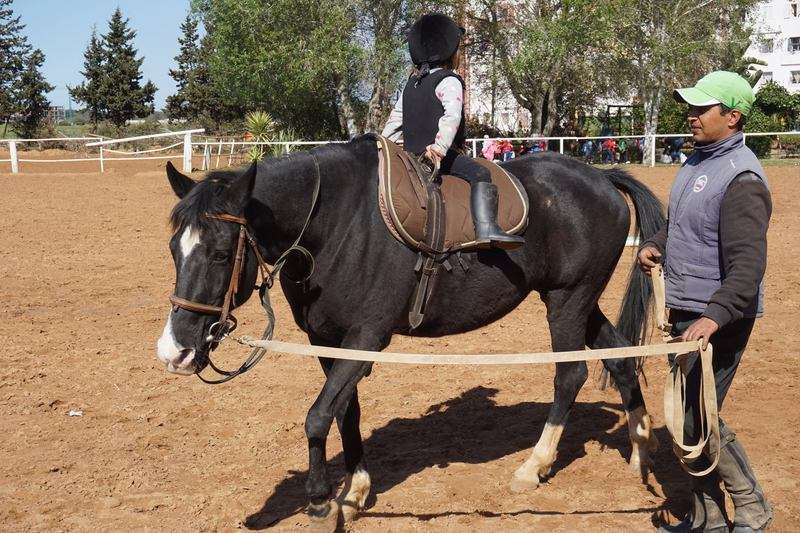 Royal-club-equestre-du-lac